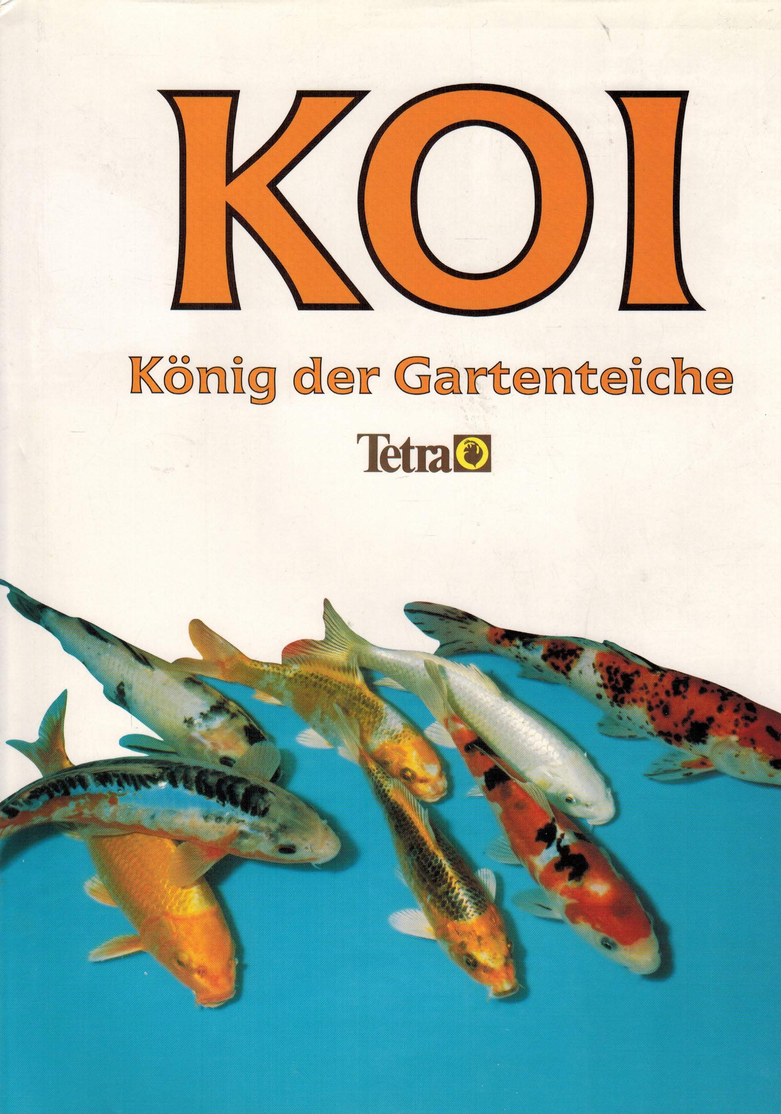 Koi König der Gartenteiche Film, Art & Culture