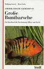 Amerikanische Cichliden II - Grosse Buntbarsche. Ein Handbuch zur Bestimmung, Pflege und Zucht Natural Sciences