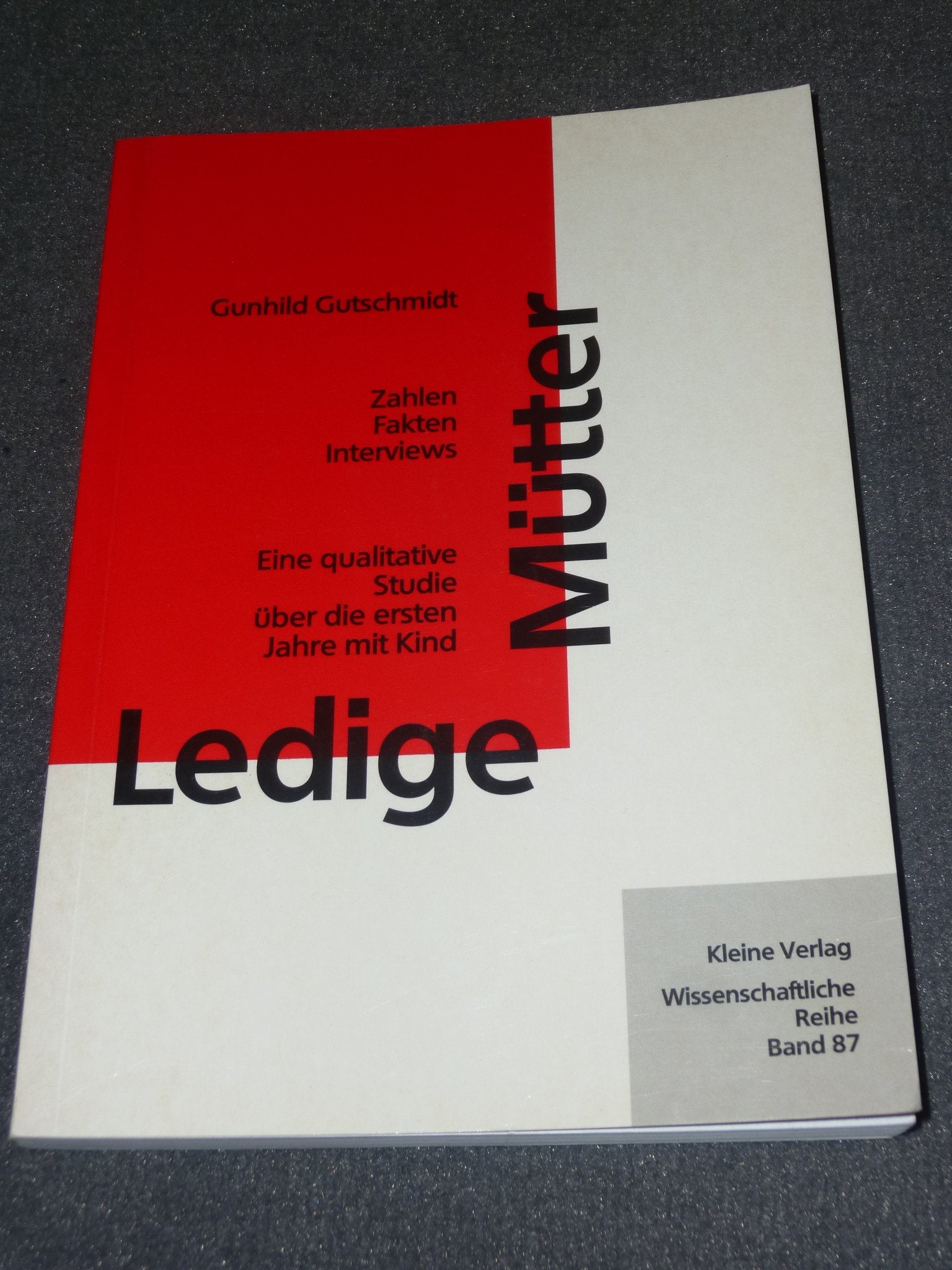 Ledige Mütter. Zahlen - Fakten - Interviews: Eine qualitative Studie über die ersten Jahre mit Kind Law