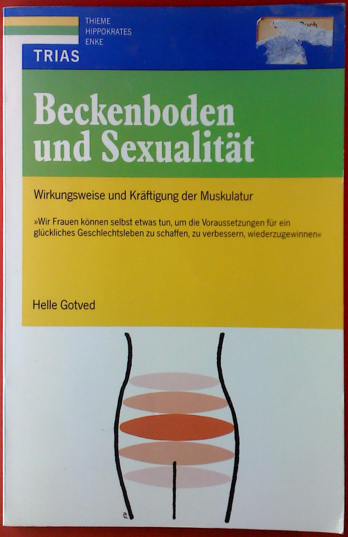 Beckenboden und Sexualität: Wirkungsweise und Kräftigung der Muskulatur Books