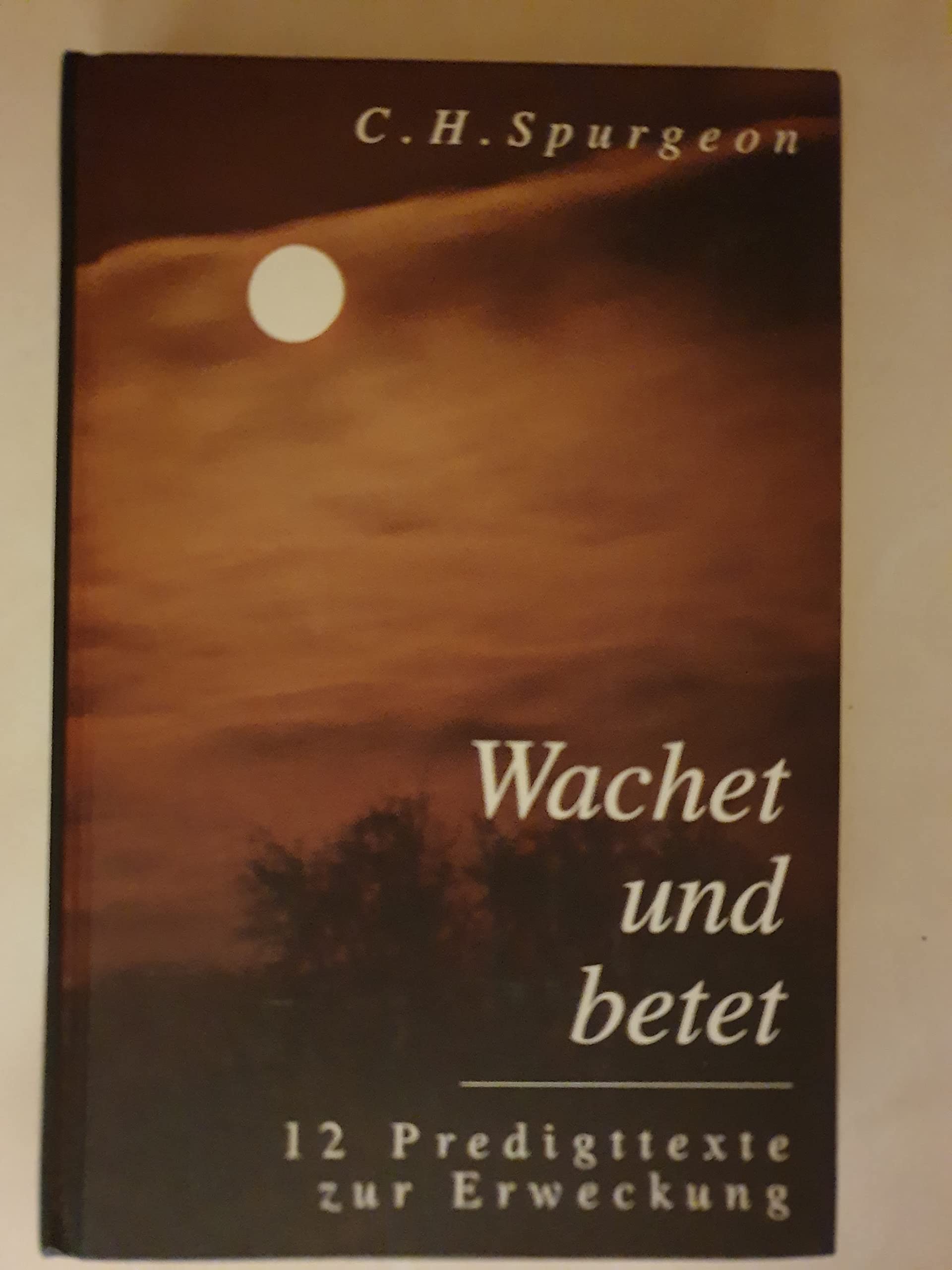 Wachet und betet - 12 Predigttexte zur Erweckung Religion & Esotericism