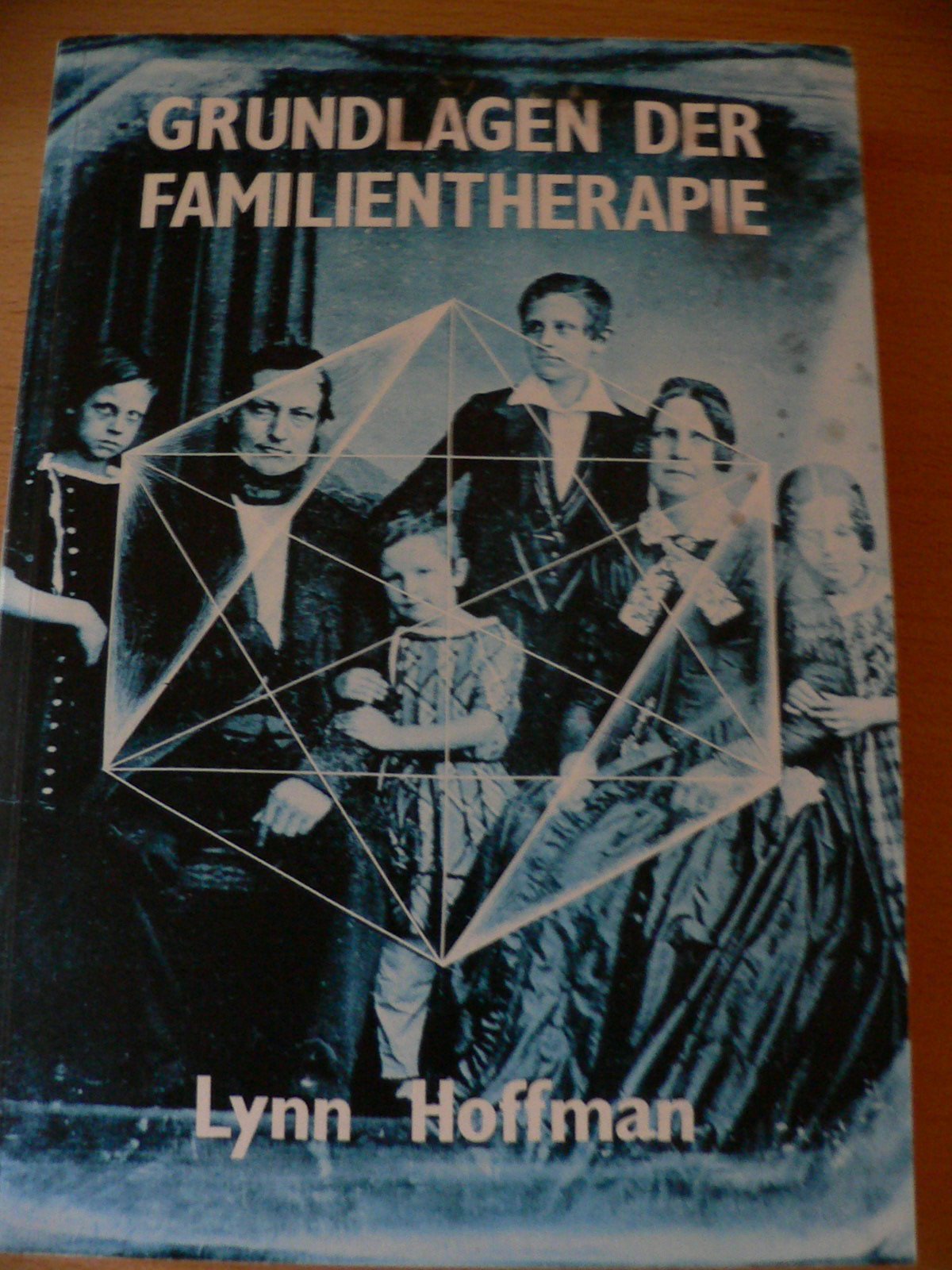 Grundlagen der Familientherapie Medicine