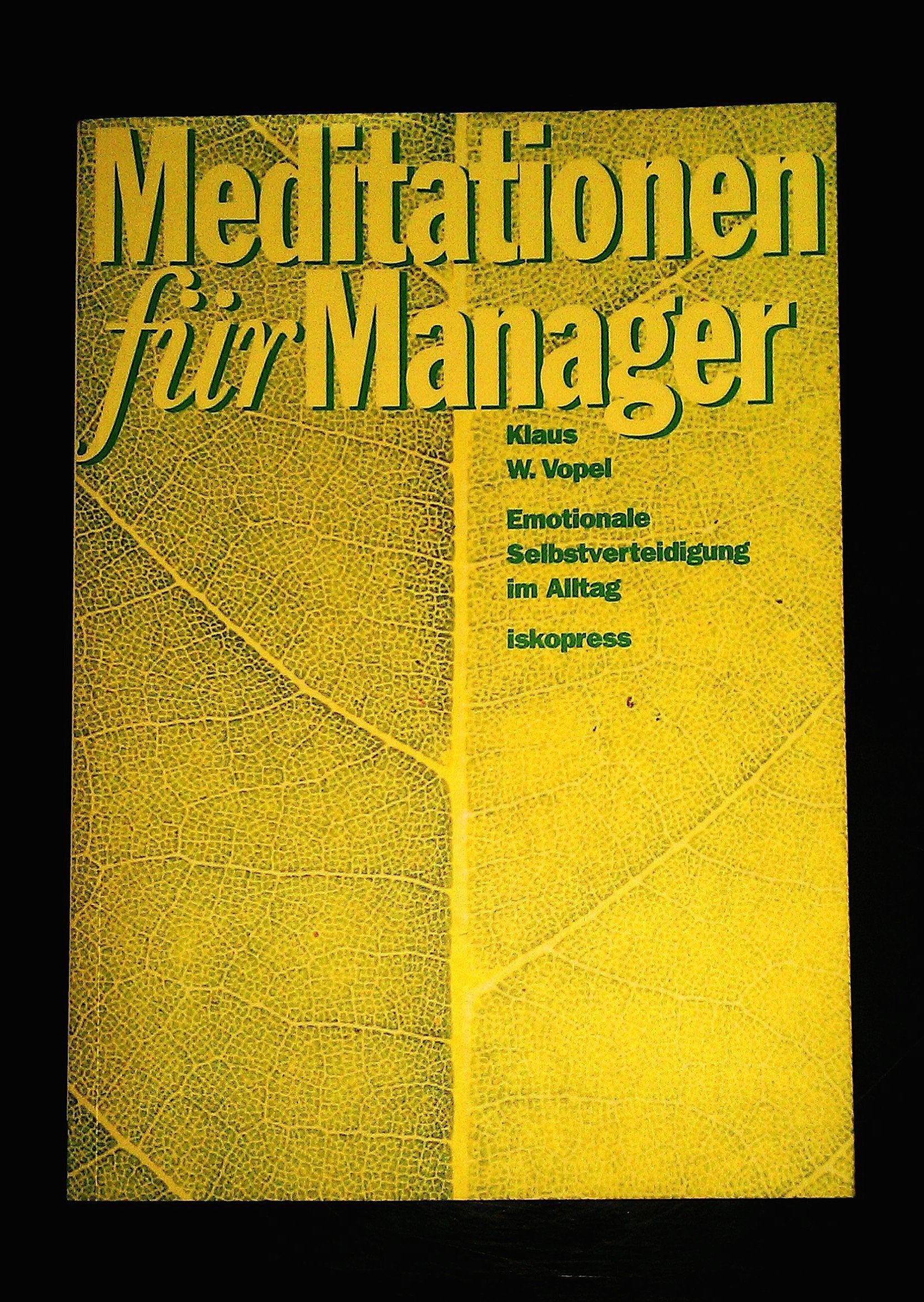 Meditationen für Manager book