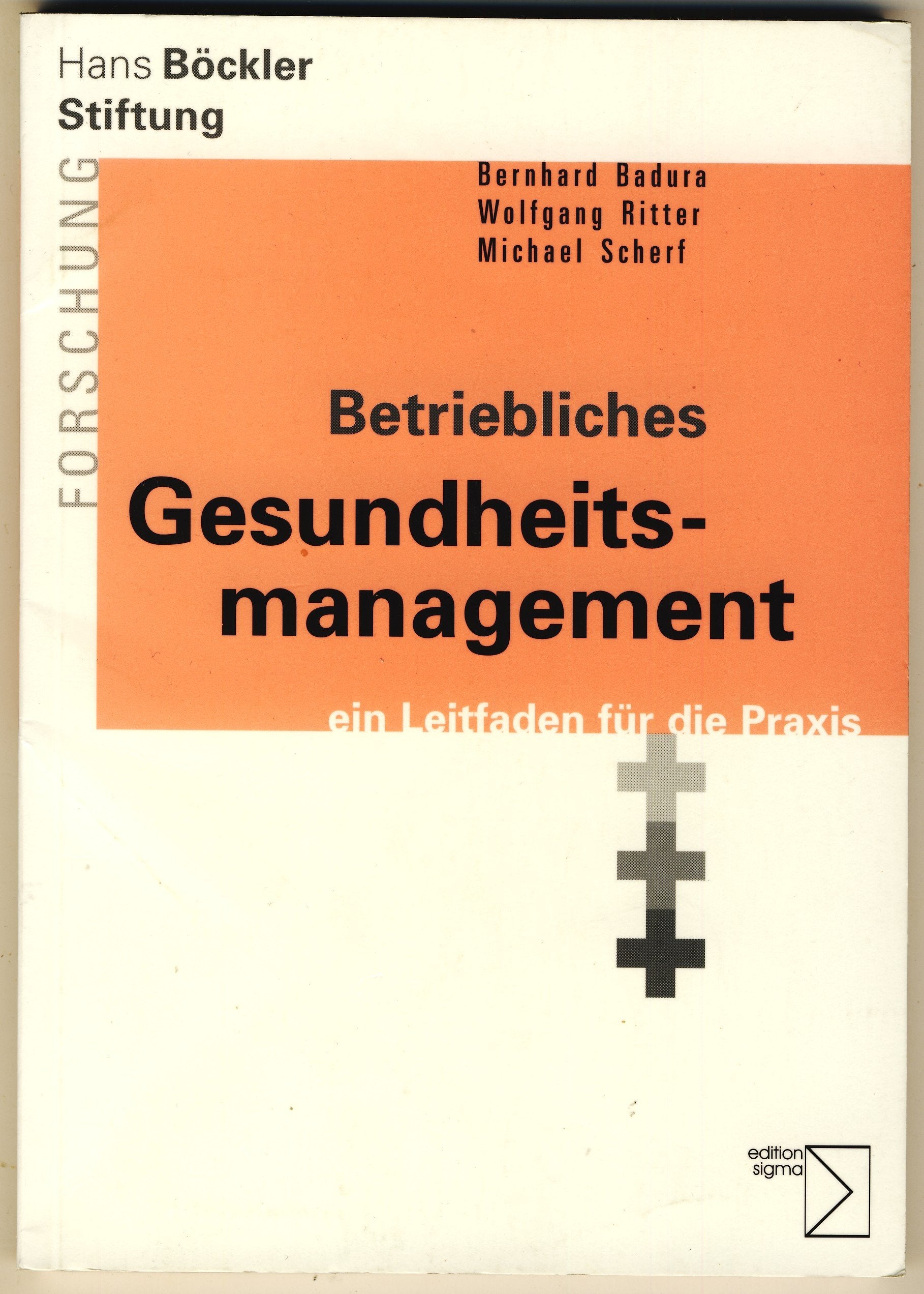 Betriebliches Gesundheitsmanagement: Ein Leitfaden für die Praxis Medicine