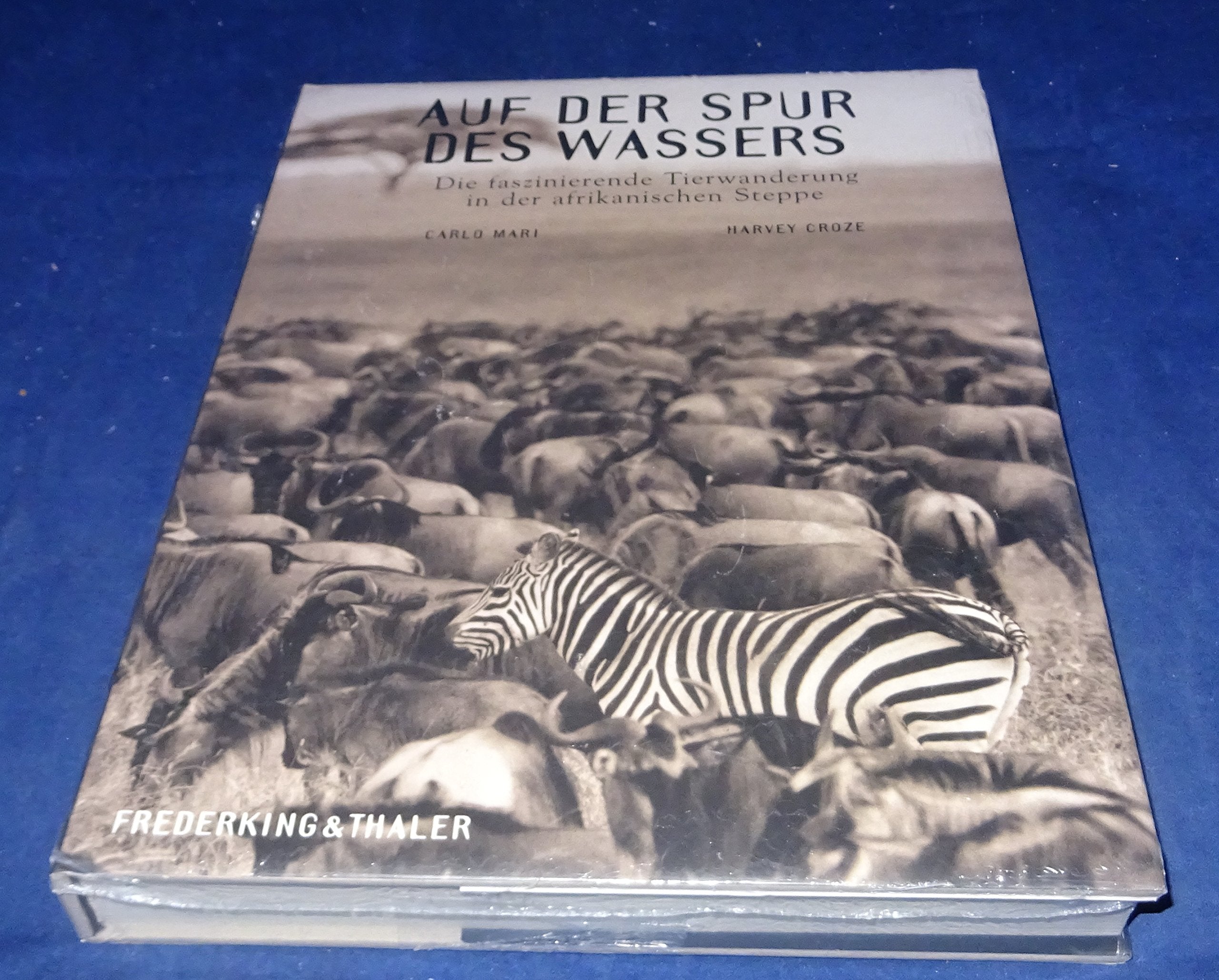 Auf der Spur des Wassers: Die faszinierende Tierwanderung in der afrikanischen Steppe Photography
