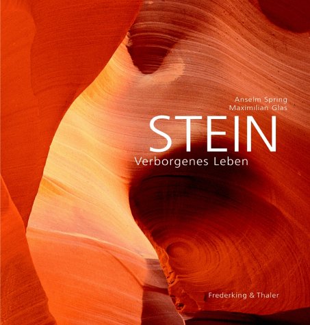 Stein: Verborgenes Leben Photography