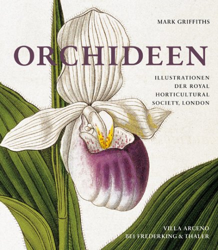 Orchideen (Villa Arceno) Architecture