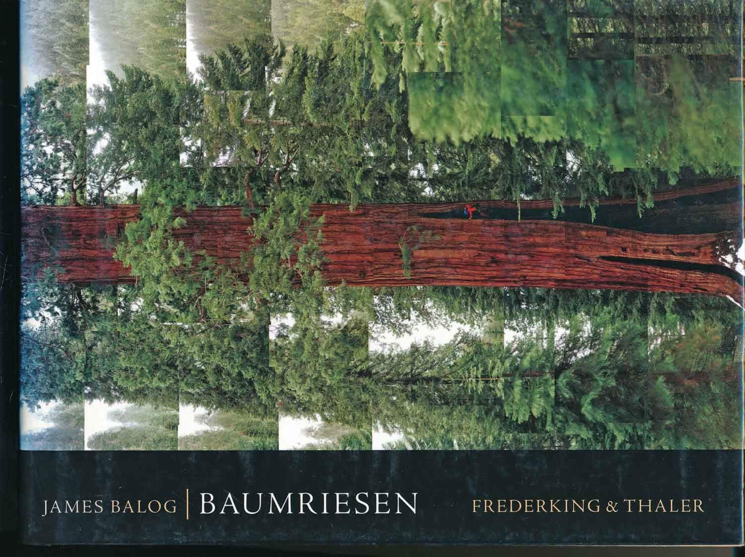 Baumriesen: Geschenkausgabe Photography
