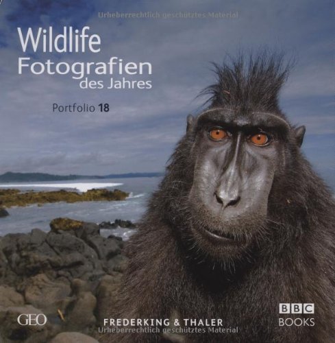 Wildlife Fotografien des Jahres: Portfolio 18 Film, Art & Culture