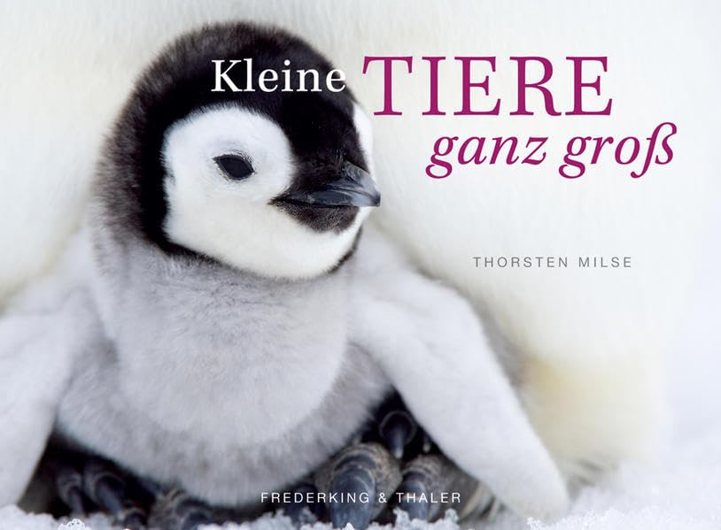 Kleine Tiere ganz groß – Tischaufsteller im Schuber: Mit immerwährendem Kalendarium Leisure, Home & Garden