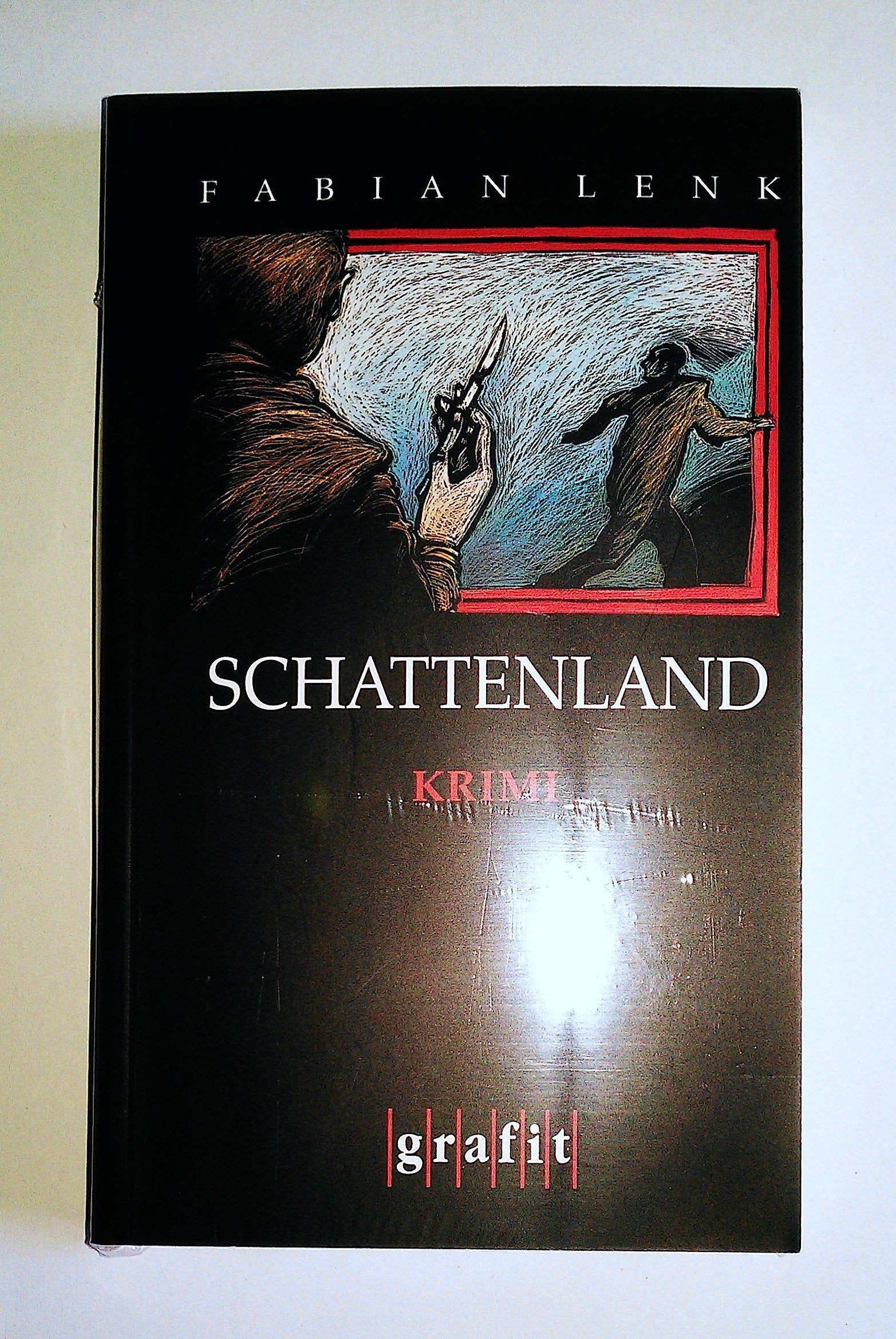 Schattenland. Der fünfte Bachmann-Krimi (Grafitäter und Grafitote) Contemporary literature
