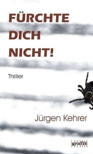 Fürchte dich nicht!: Thriller Contemporary literature Books