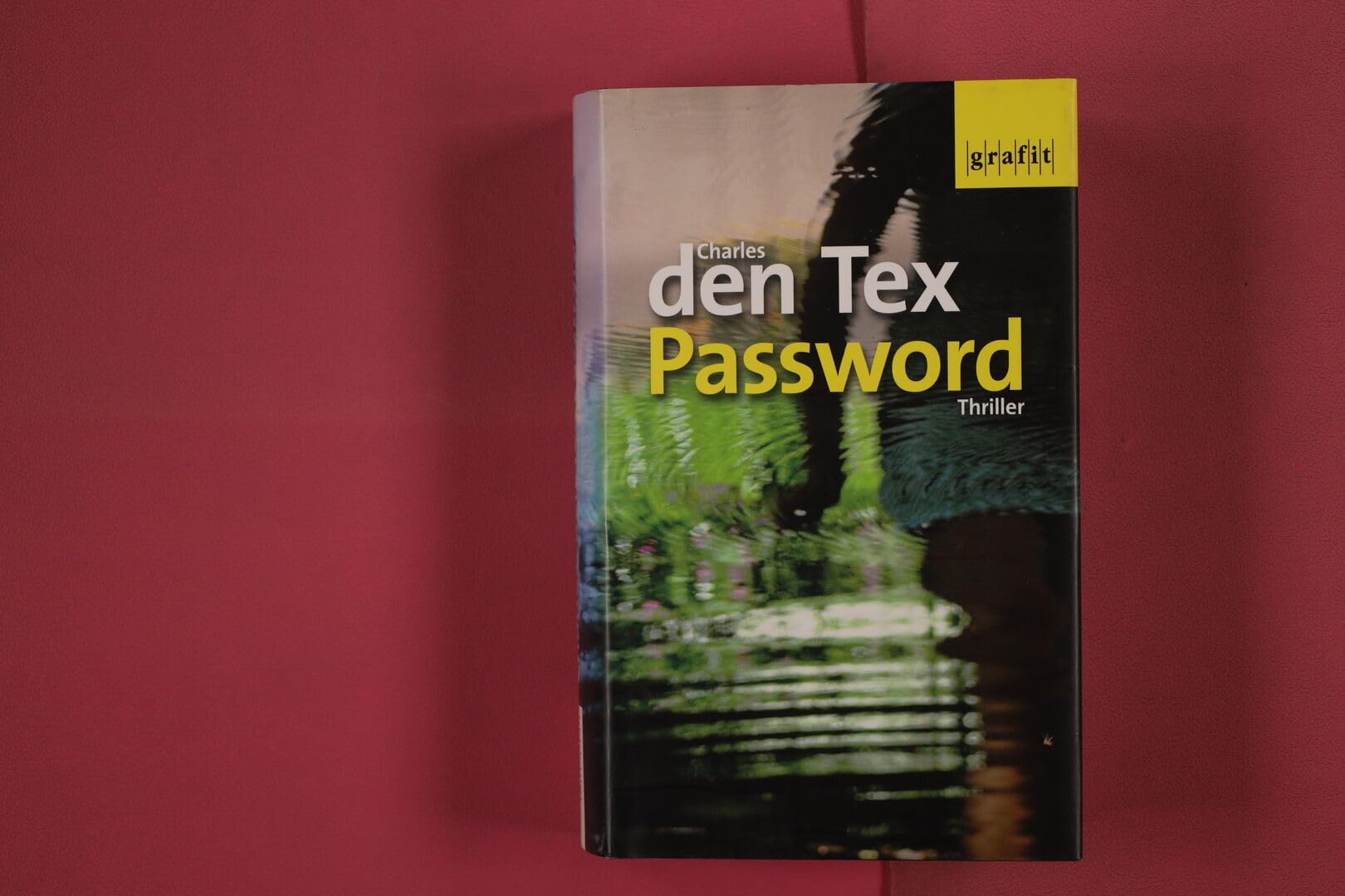 Password: Thriller Contemporary literature Books