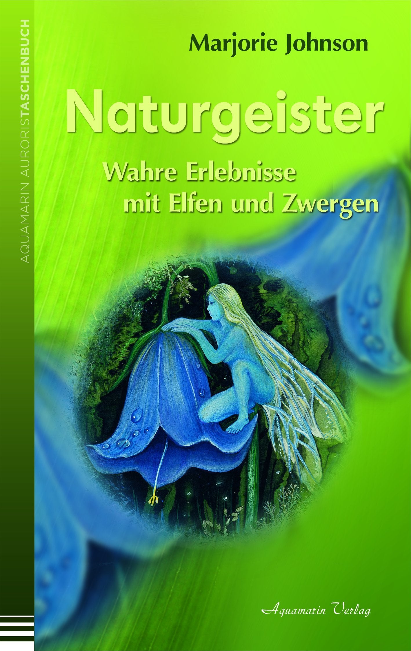 Naturgeister - Wahre Erlebnisse mit Elfen und Zwergen Religion & Esotericism