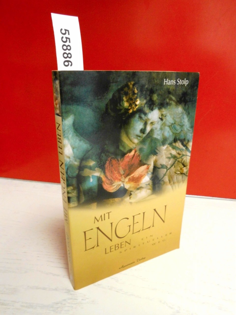 Product Image: Mit Engeln leben