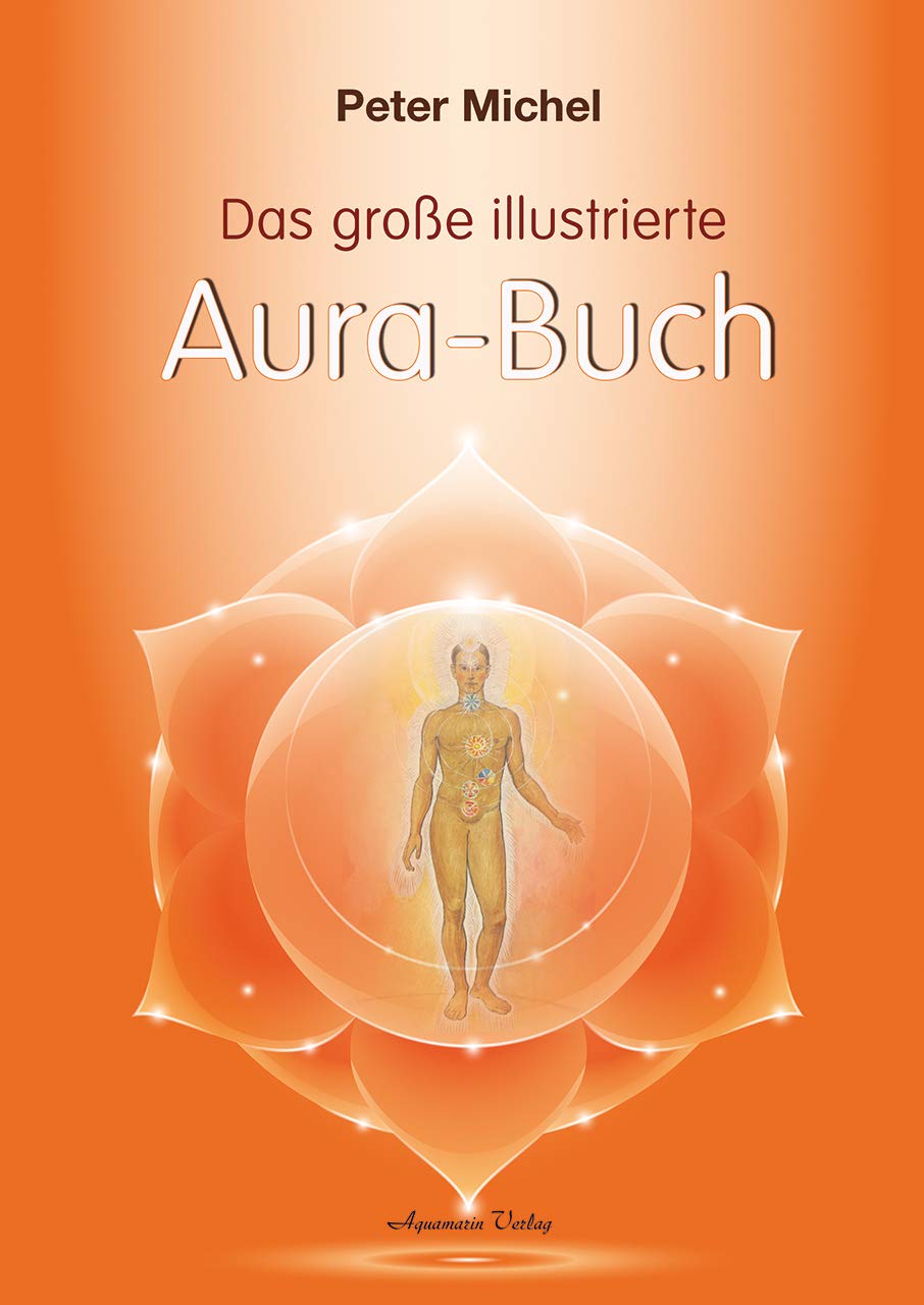 Das große illustrierte Aura-Buch Health, Nutrition & Fitness Books