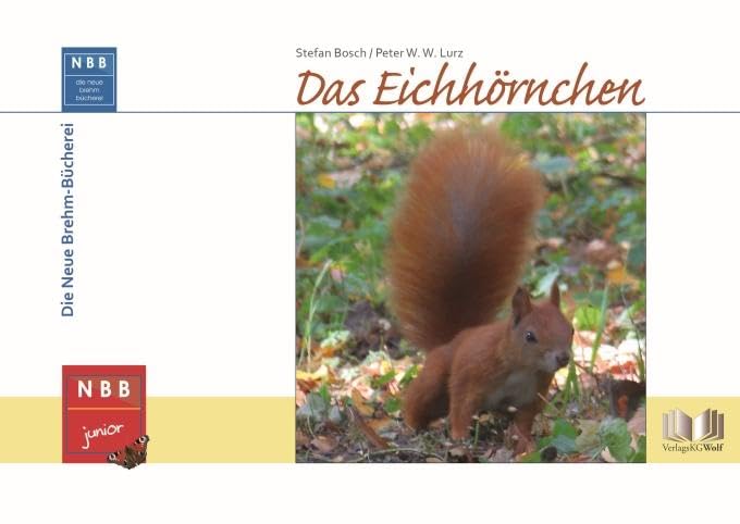 Das Eichhörnchen Business & Technology