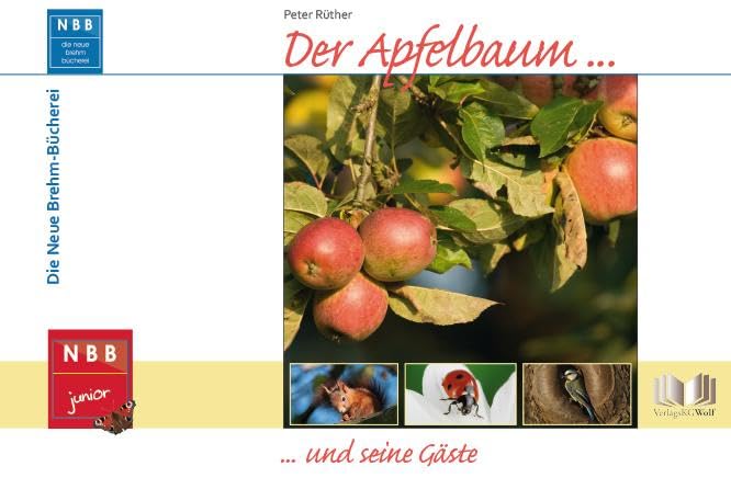 Der Apfelbaum und seine Gäste (NBB junior) Business & Technology