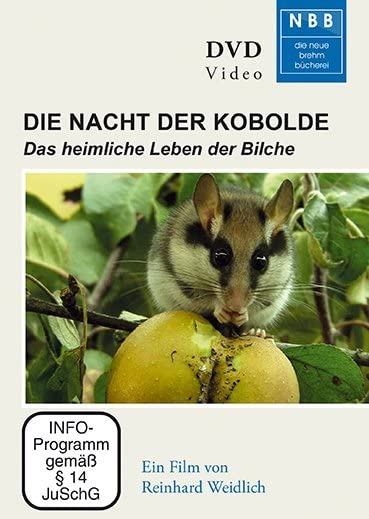 Die Nacht der Kobolde Films