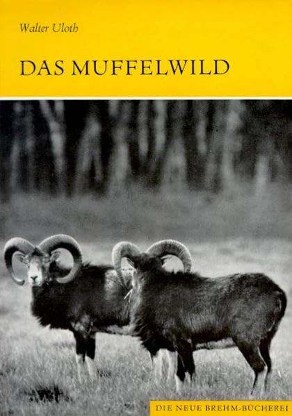 Das Muffelwild: Ovis ammon musimon (Die Neue Brehm-Bücherei: Zoologische, botanische und paläontologische Monografien) Natural Sciences