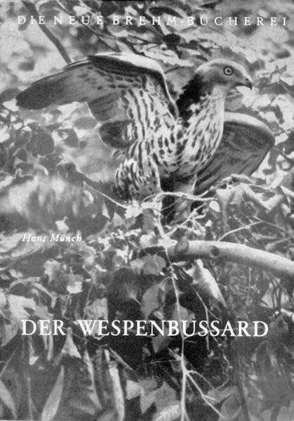 Der Wespenbussard (Die Neue Brehm-Bücherei: Zoologische, botanische und paläontologische Monografien) Natural Sciences