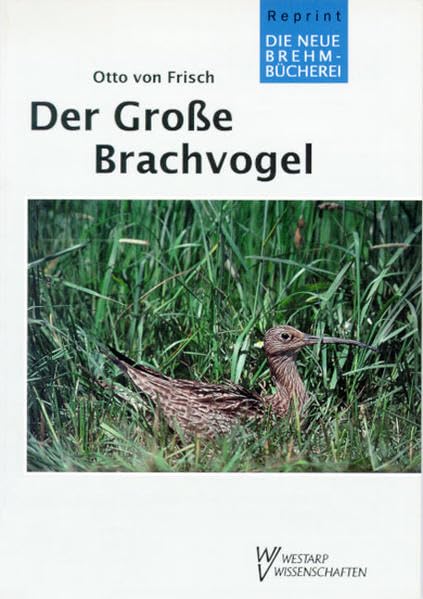 GROßER BRACHVOGEL: Numenius arquata L. (Die Neue Brehm-Bücherei: Zoologische, botanische und paläontologische Monografien) Law