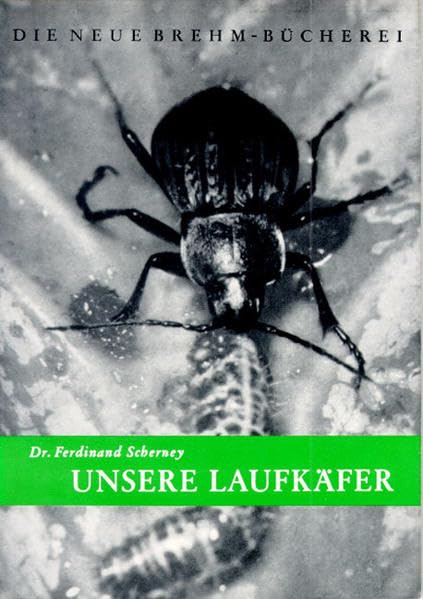 Unsere Laufkäfer: Ihre Biologie und wirtschaftliche Bedeutung (Die Neue Brehm-Bücherei: Zoologische, botanische und paläontologische Monografien) Natural Sciences