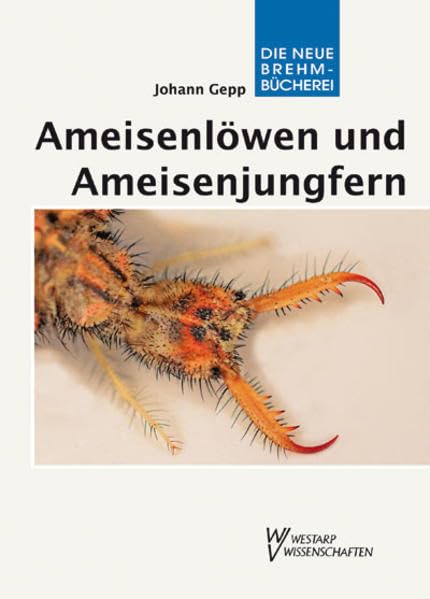 AMEISENLÖWEN U. - JUNGFERN: Myrmeleonidae Law