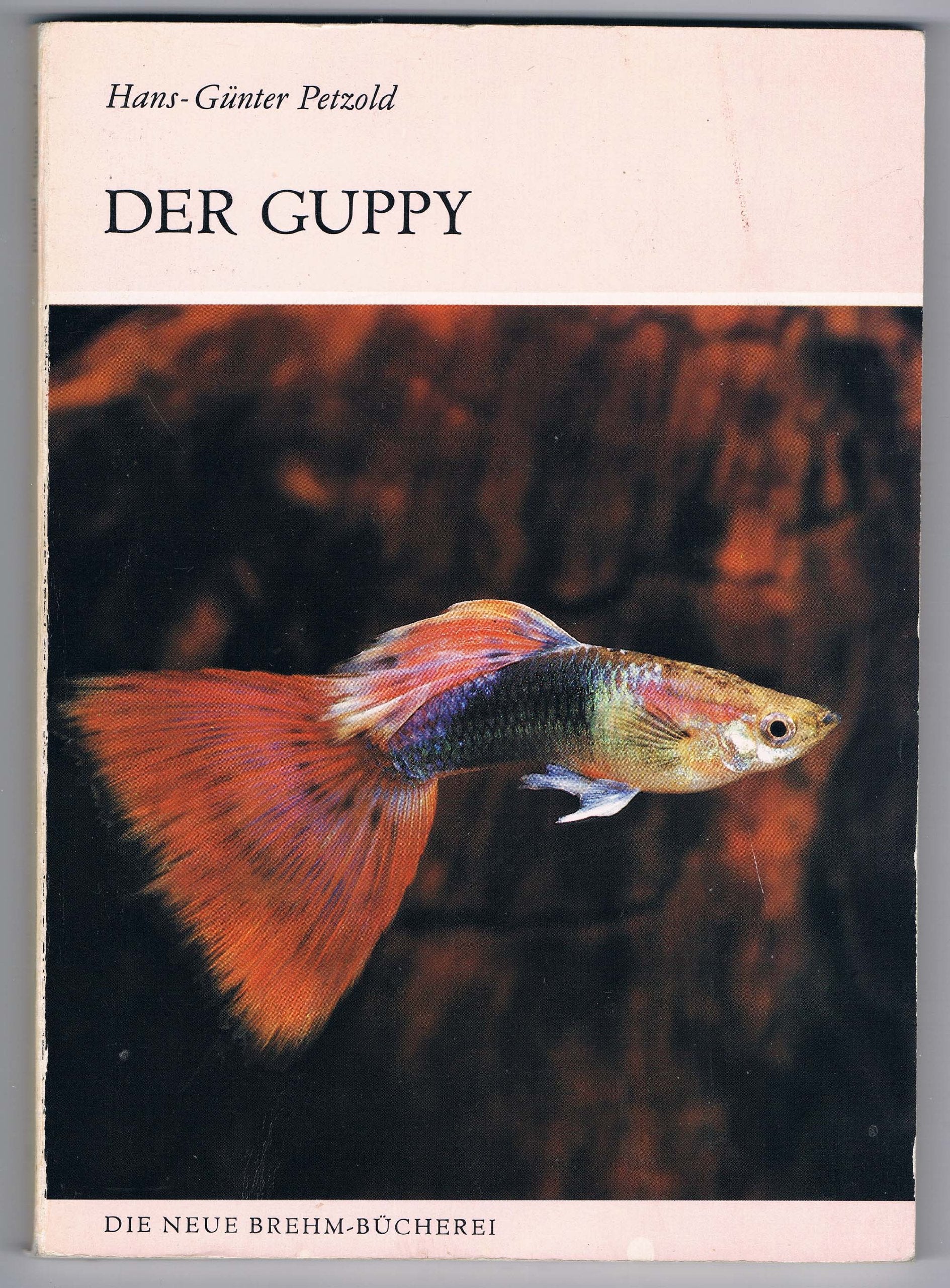 Der Guppy: Poecilia lebistes Pets