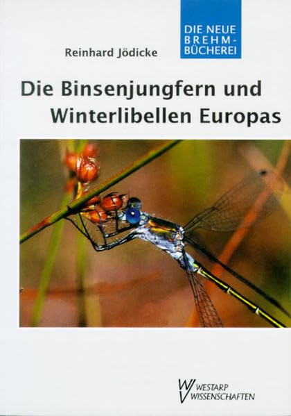 Die Binsenjungfern und Winterlibellen Europas: Die Libellen Europas Bd. 3, Lestidae Leisure, Home & Garden