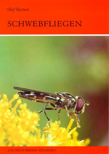 SCHWEBFLIEGEN SYRPHIDAE: Syrphídae Law