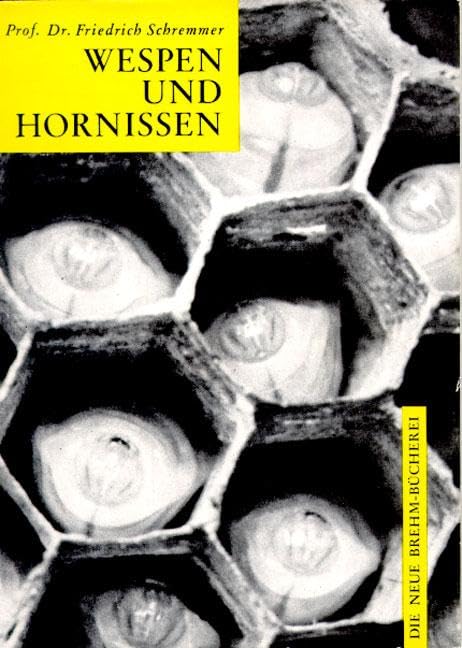 Wespen und Hornissen Natural Sciences