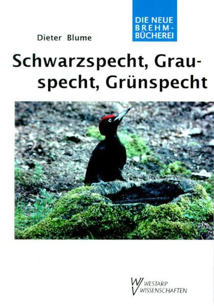 SCHWARZSPECHT, GRAUSPECHT GRÜNSPECHT: Dryocopus martius, Picus canus, Picus viridis Law