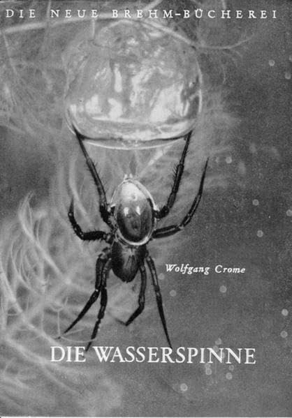 Die Wasserspinne (Die Neue Brehm-Bücherei: Zoologische, botanische und paläontologische Monografien) Natural Sciences