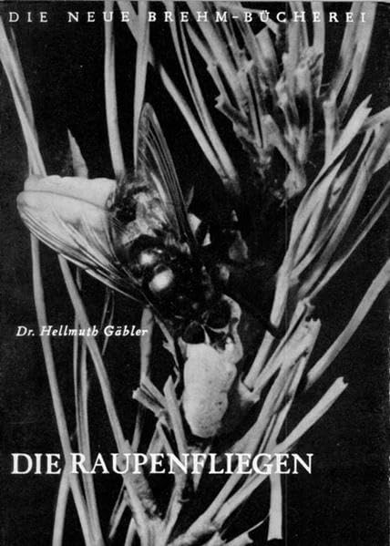 Die Raupenfliegen (Die Neue Brehm-Bücherei: Zoologische, botanische und paläontologische Monografien) Natural Sciences