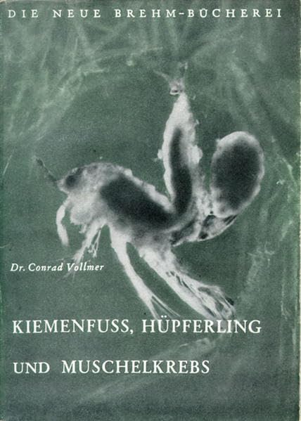 Kiemenfuß, Hüpferling und Muschelkrebs (Die Neue Brehm-Bücherei: Zoologische, botanische und paläontologische Monografien) Natural Sciences