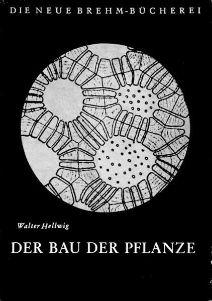 Der Bau der Pflanze (Die Neue Brehm-Bücherei: Zoologische, botanische und paläontologische Monografien) Garden & Plants