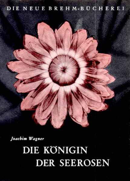 Die Königin der Seerosen (Die Neue Brehm-Bücherei: Zoologische, botanische und paläontologische Monografien) Natural Sciences