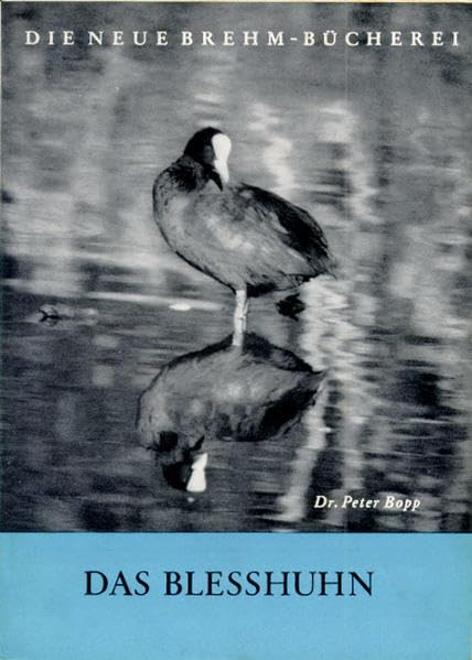 Das Bleßhuhn (Die Neue Brehm-Bücherei: Zoologische, botanische und paläontologische Monografien) Natural Sciences