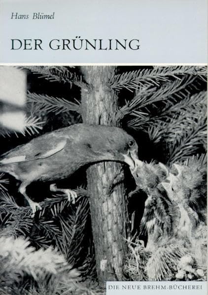 Der Grünling: Carduelis chloris (Die Neue Brehm-Bücherei: Zoologische, botanische und paläontologische Monografien) Natural Sciences