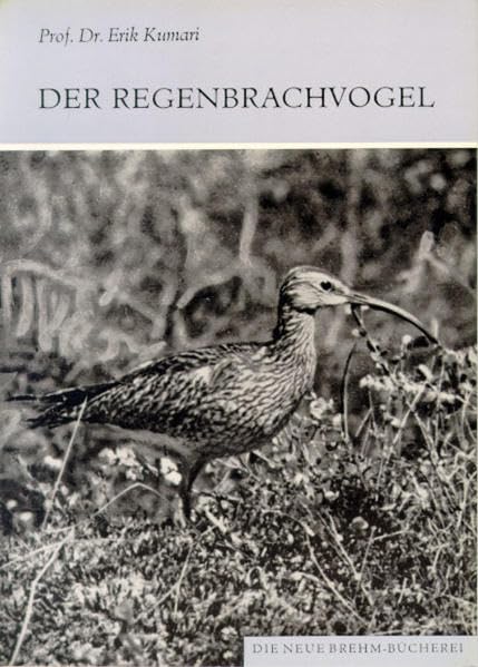 Der Regenbrachvogel: Numenius phaeopus (Die Neue Brehm-Bücherei: Zoologische, botanische und paläontologische Monografien) Natural Sciences
