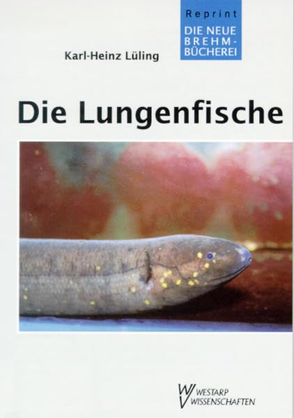 LUNGENFISCHE U.D. SÜDAMERIK. KURZSCHWANZAAL: Dipnoidea - Synbranchidae (Die Neue Brehm-Bücherei: Zoologische, botanische und paläontologische Monografien) Law