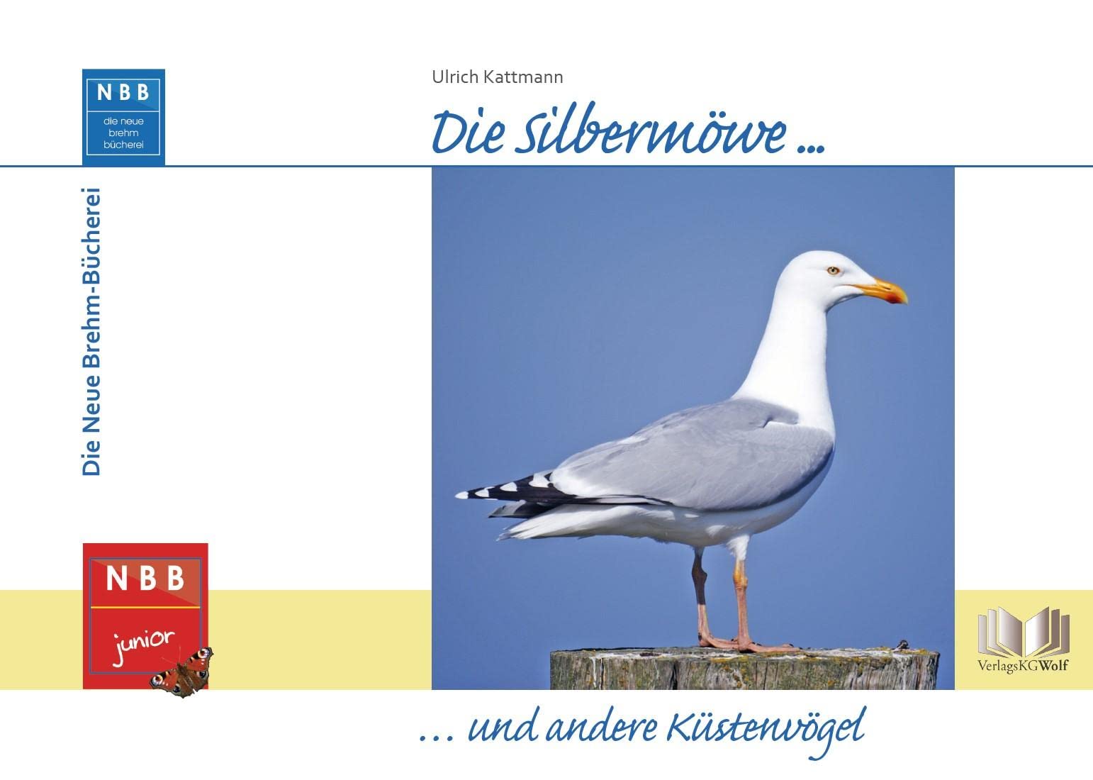 Die Silbermöwe und andere Küstenvögel Natural Sciences