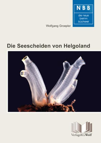 Die Seescheiden von Helgoland: Biologie und Bestimmung der Ascidien (Die Neue Brehm-Bücherei: Zoologische, botanische und paläontologische Monografien) Pets