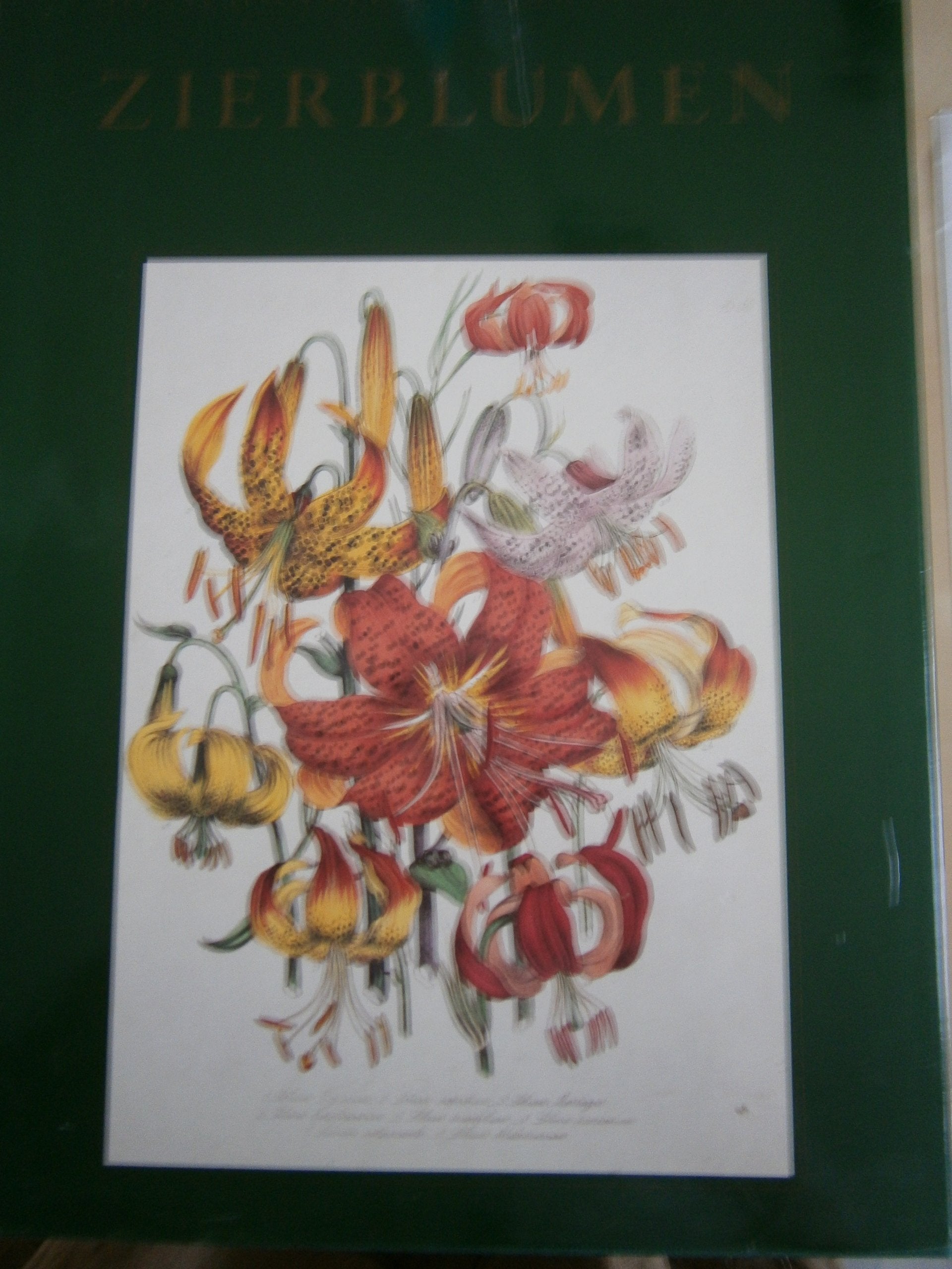 Zierblumen Books