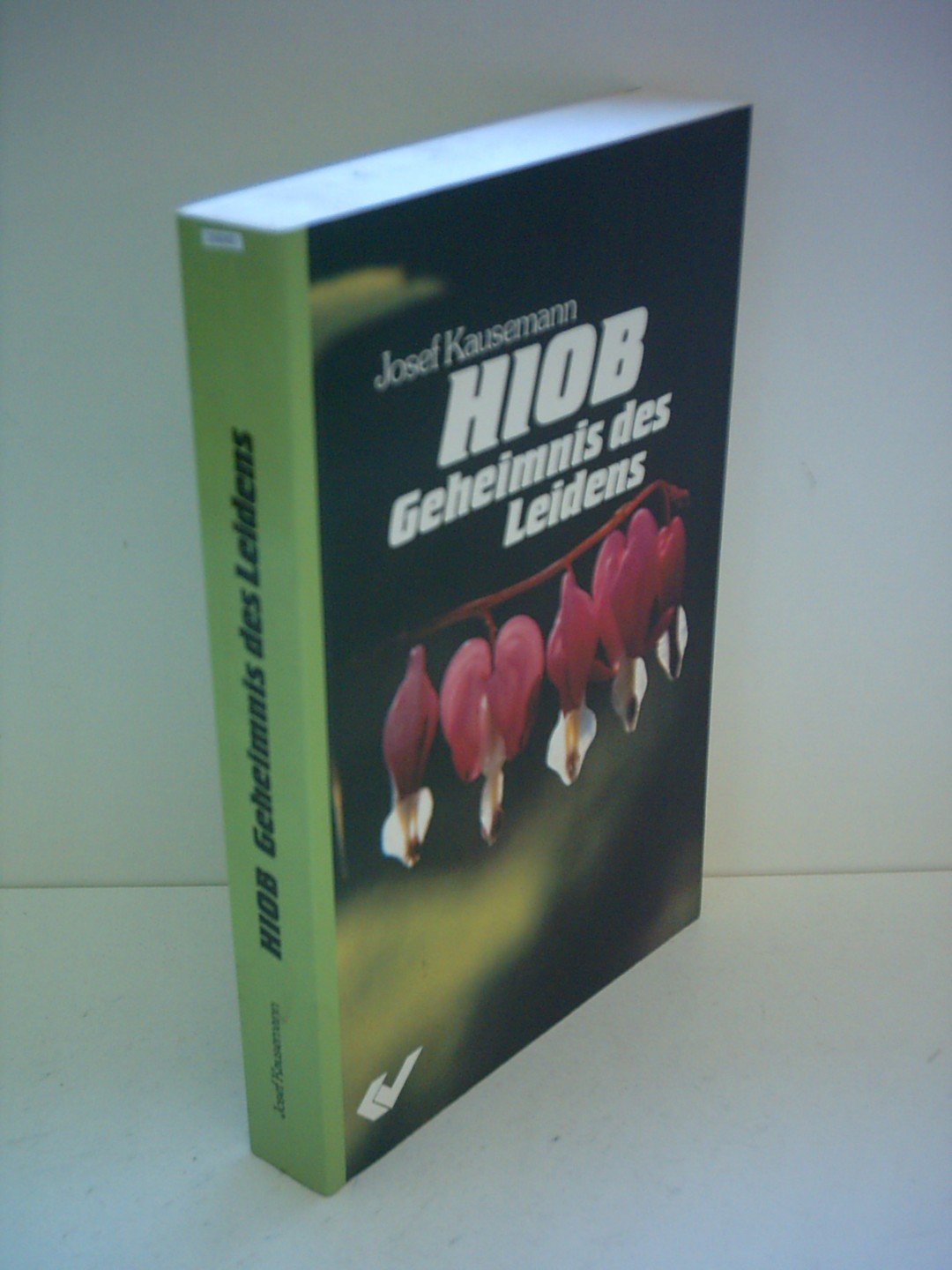 Product Image: Hiob. Geheimnis des Leidens