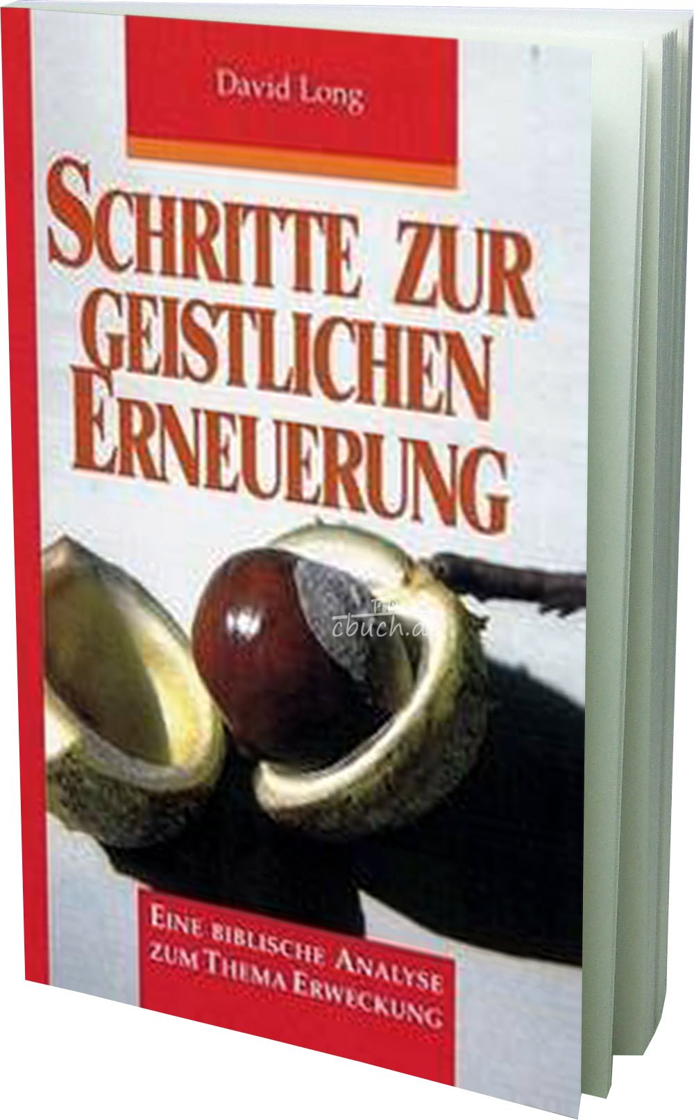 Schritte zur geistlichen Erneuerung: Eine biblische Analyse zum Thema Erweckung Religion & Esotericism