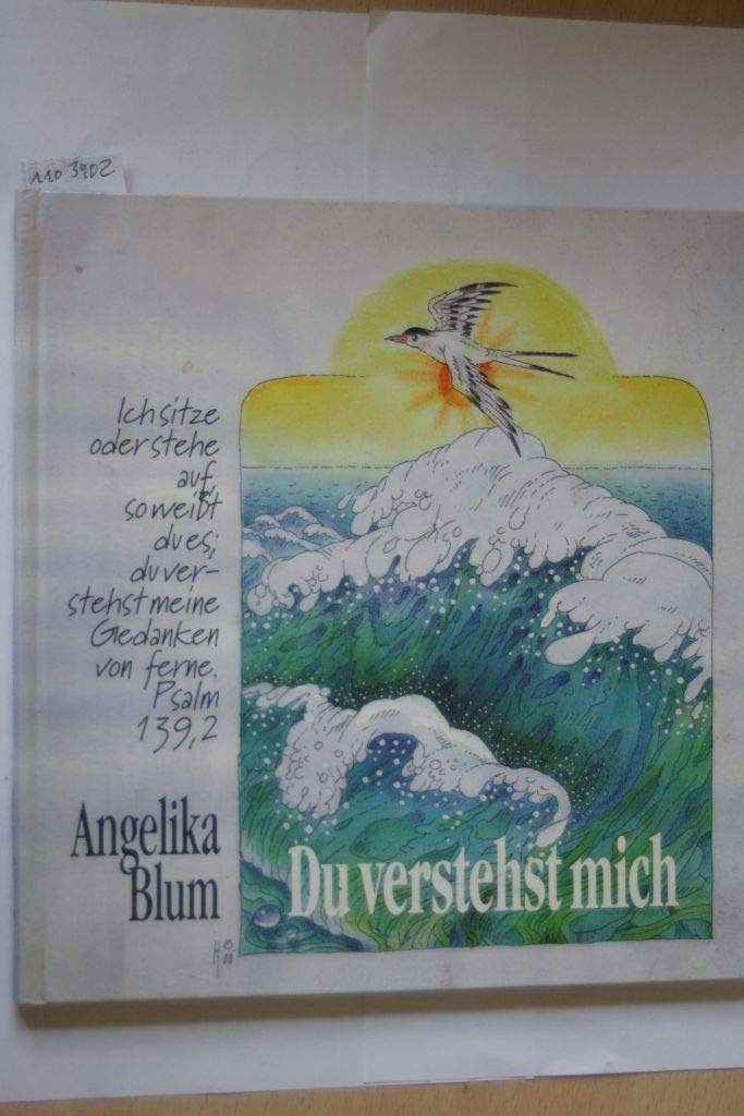 Du verstehst mich: Gottes Gegenwart an jedem Tag Religion & Esotericism