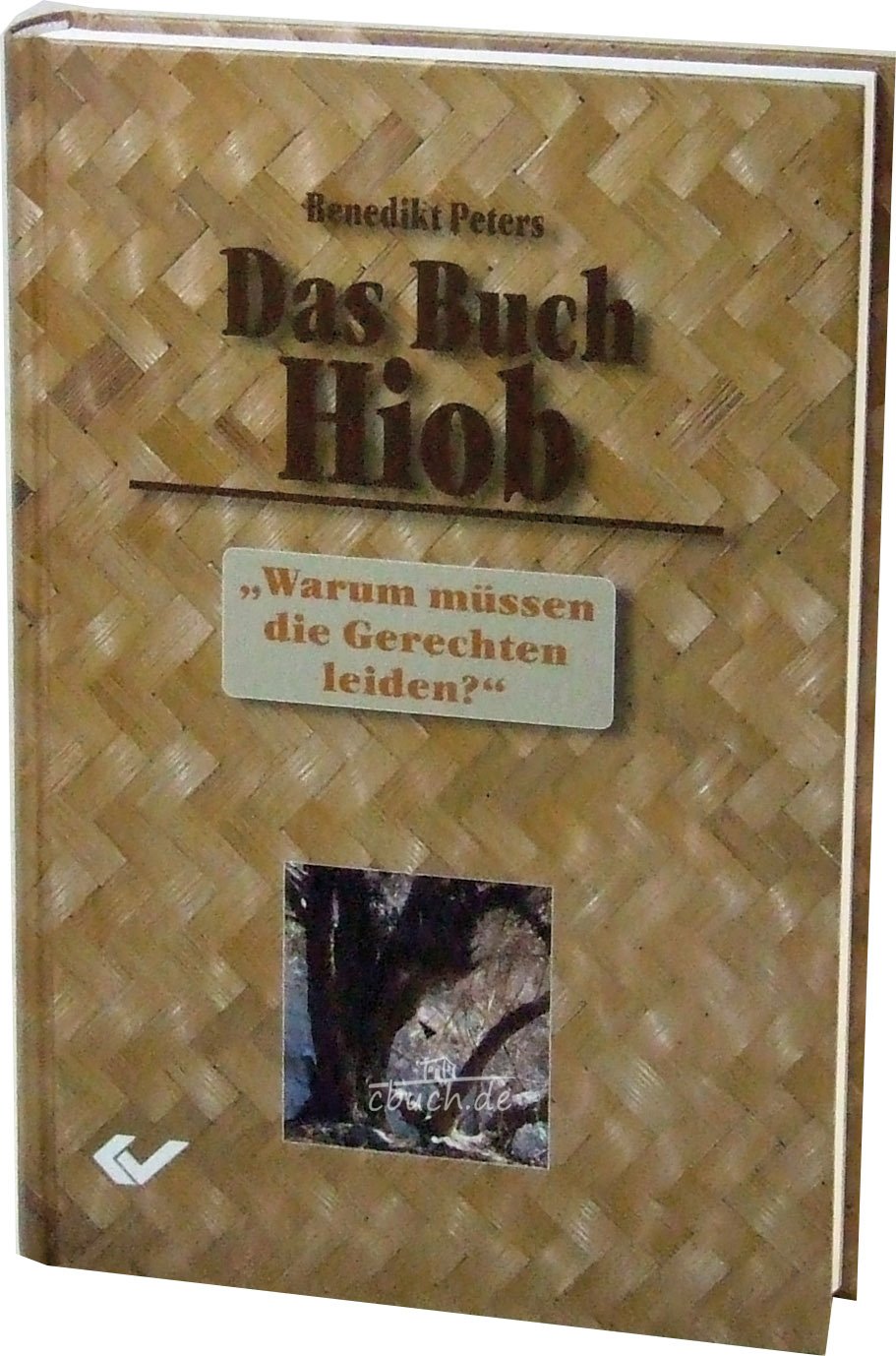 Das Buch Hiob: Warum müssen die Gerechten leiden? Religion & Esotericism
