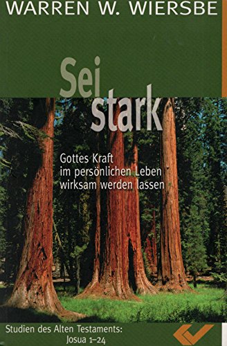 Sei stark: Gottes Kraft im persönlichen Leben wirksam werden lassen Kommentar zum Buch "Josua" Religion & Esotericism